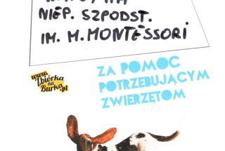 Pomagamy czworonogom ze schroniska